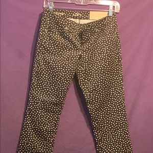 Ann Taylor Loft Polka dot pants J-013